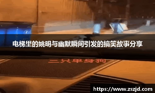 球速体育