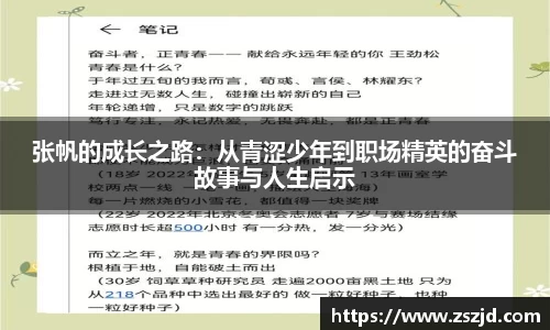 球速体育平台入口