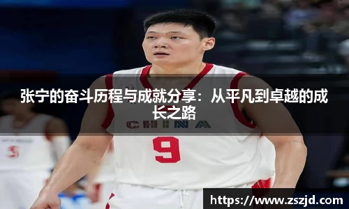 球速体育平台入口