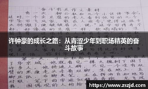 球速体育平台入口