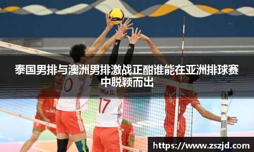 球速体育平台入口