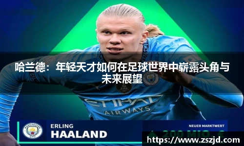 球速体育平台入口