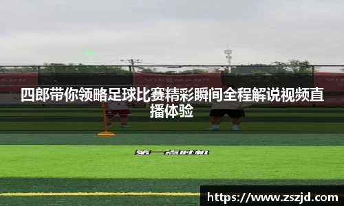 球速体育平台入口